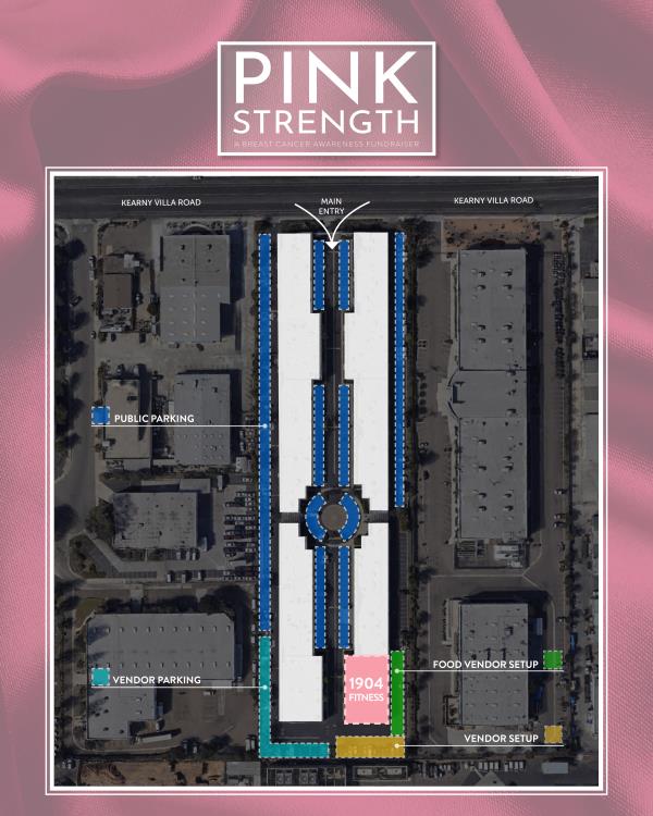 Pink Strength - Parking Map 4x5